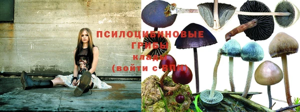 ECSTASY Тобольск