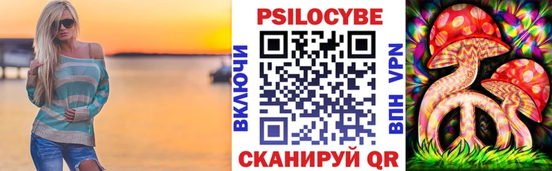 Купить закладки  Палласовка  Псилоцибиновые грибы Psilocybe 